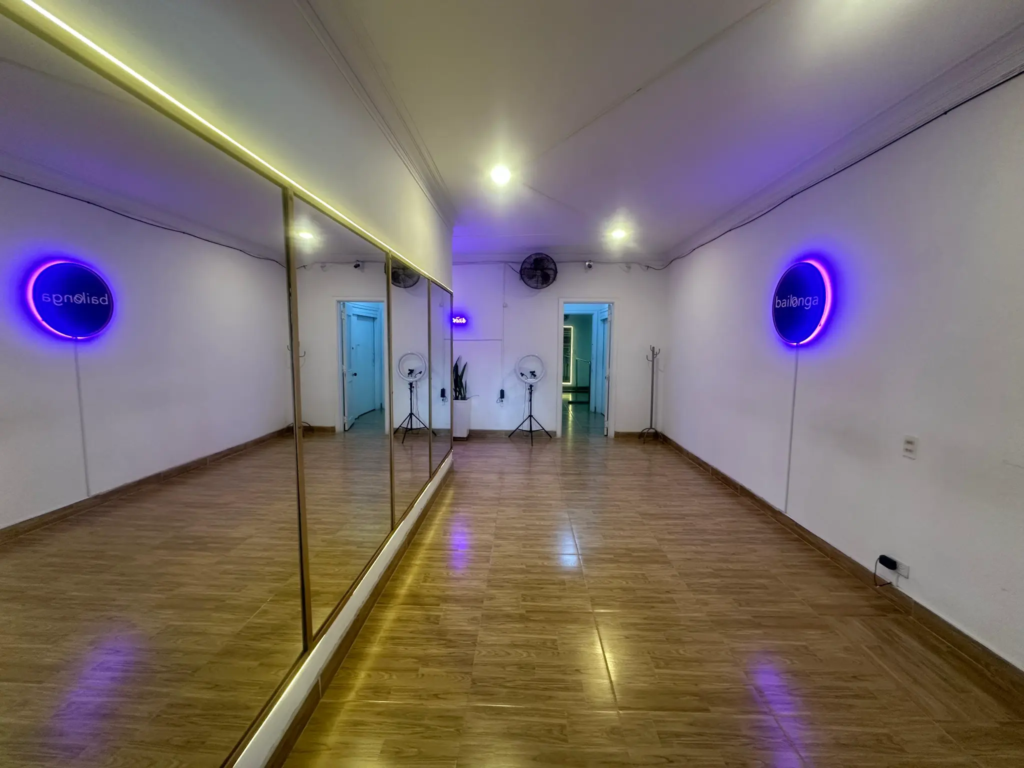 Estudio con dos letreros Bailonga